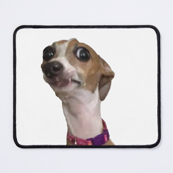 Item preview, Who… Me? | Anxious Dog Meme designed and sold by SpxrkyDesigns.