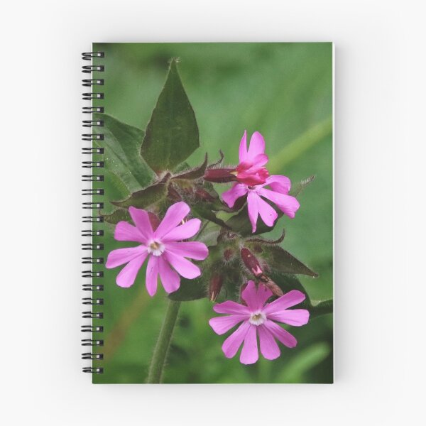 Item preview, Red Campion designed and sold by AnnDixon.