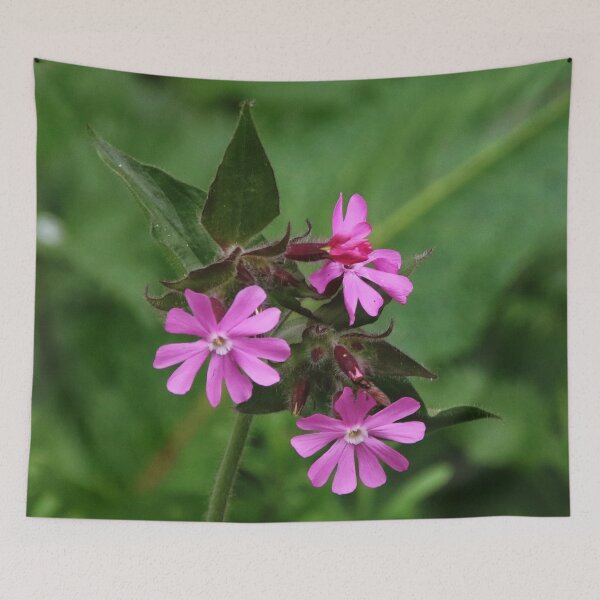 Item preview, Red Campion designed and sold by AnnDixon.