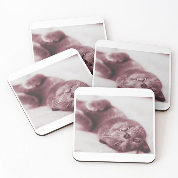 Item preview, Foto cat designed and sold by KammZCc.