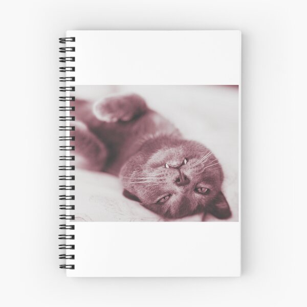 Item preview, Foto cat designed and sold by KammZCc.
