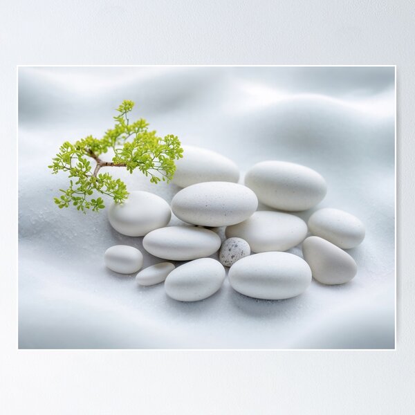 Smooth White Stones and a Small Growing Green Plant Poster