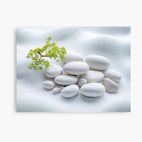 Smooth White Stones and a Small Growing Green Plant Canvas Print