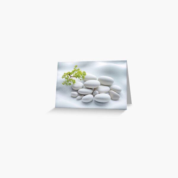 Smooth White Stones and a Small Growing Green Plant Greeting Card