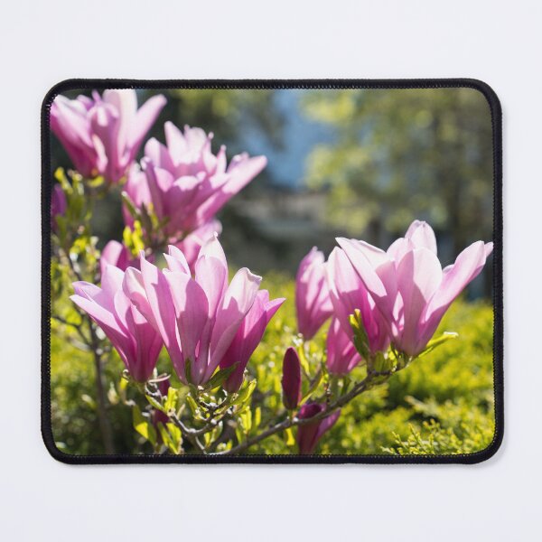 Item preview, Happy Pink Magnolia Blossoms Celebrating Spring designed and sold by Georgia Mizuleva.