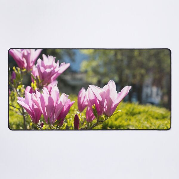 Item preview, Happy Pink Magnolia Blossoms Celebrating Spring designed and sold by Georgia Mizuleva.
