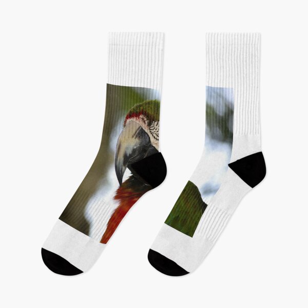 Item preview, Green -Winged Macaw designed and sold by MercerImages.
