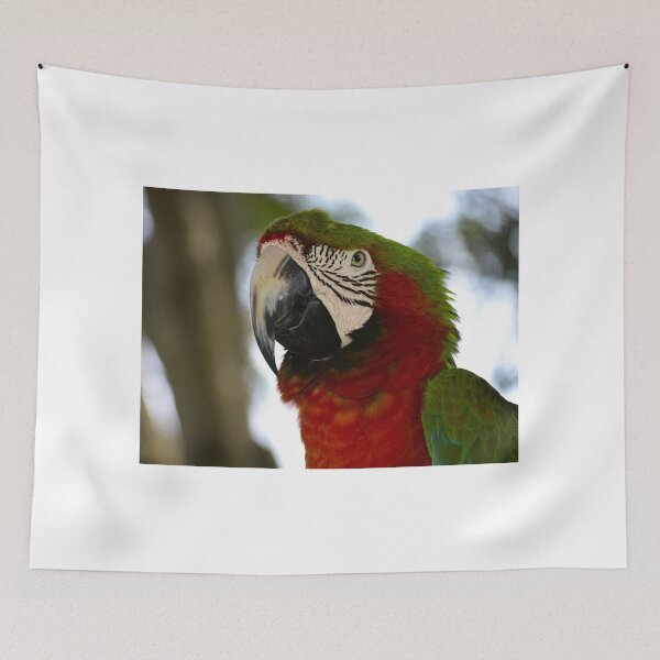 Item preview, Green -Winged Macaw designed and sold by MercerImages.