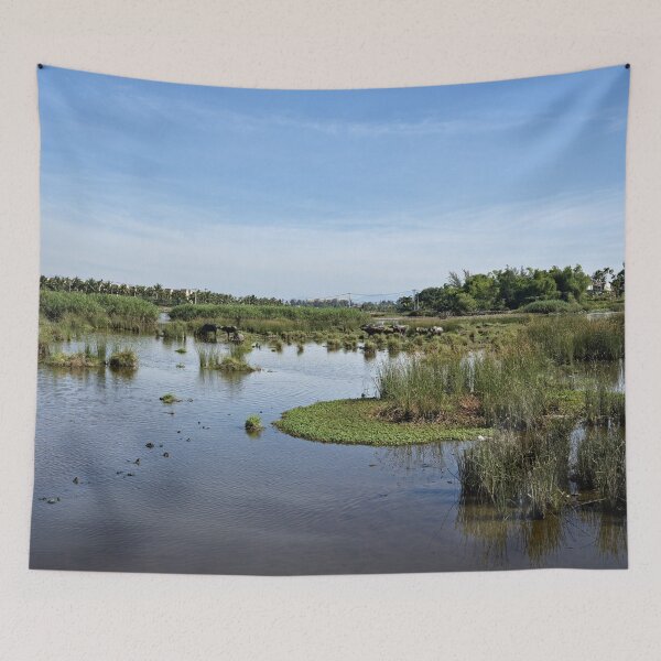 Item preview, Flooded rural landscape in central Vietnam designed and sold by franck380.