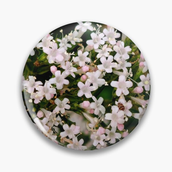 Item preview, Cute little flowers designed and sold by ViewBites.