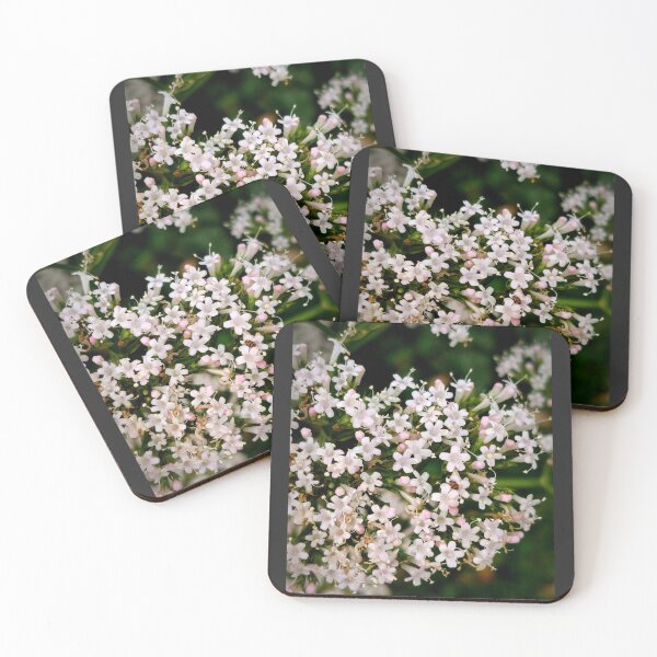Item preview, Cute little flowers designed and sold by ViewBites.
