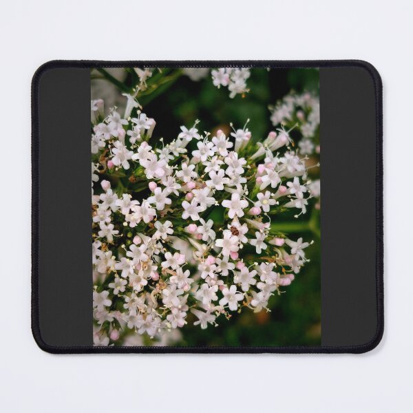 Item preview, Cute little flowers designed and sold by ViewBites.