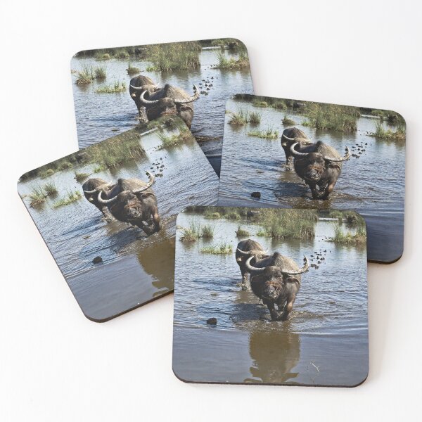 Item preview, Authentic Vietnam: Buffaloes and Rice Fields designed and sold by franck380.
