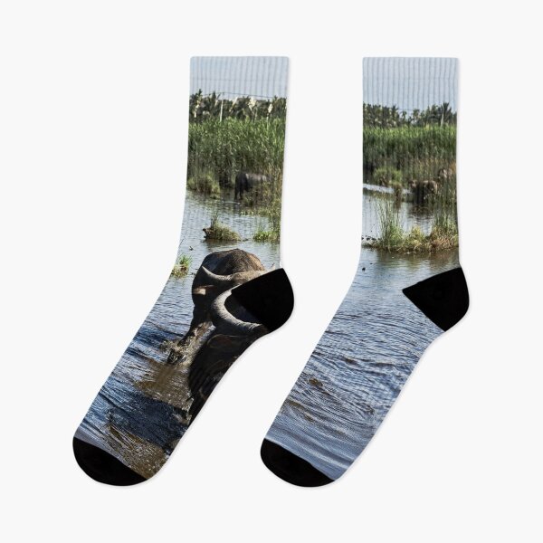 Item preview, Authentic Vietnam: Buffaloes and Rice Fields designed and sold by franck380.