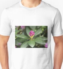 Pink Flower Close Up Unisex T-Shirt