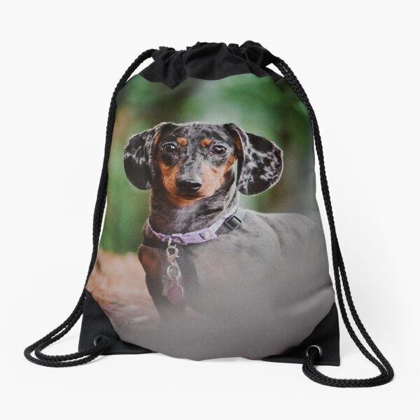 Item preview, Dachshund designed and sold by pawsandfocus.