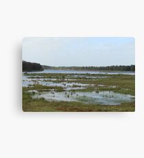 Rural Woodland Landscape Canvas Print