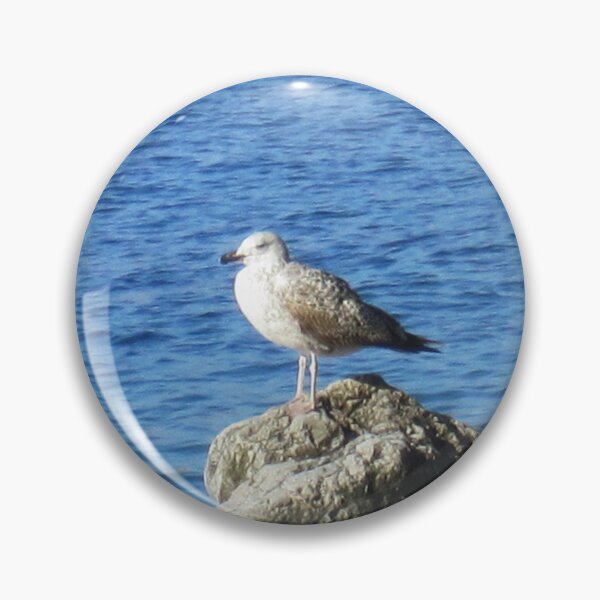 Item preview, Seagull designed and sold by Alexander Krishchyunas.