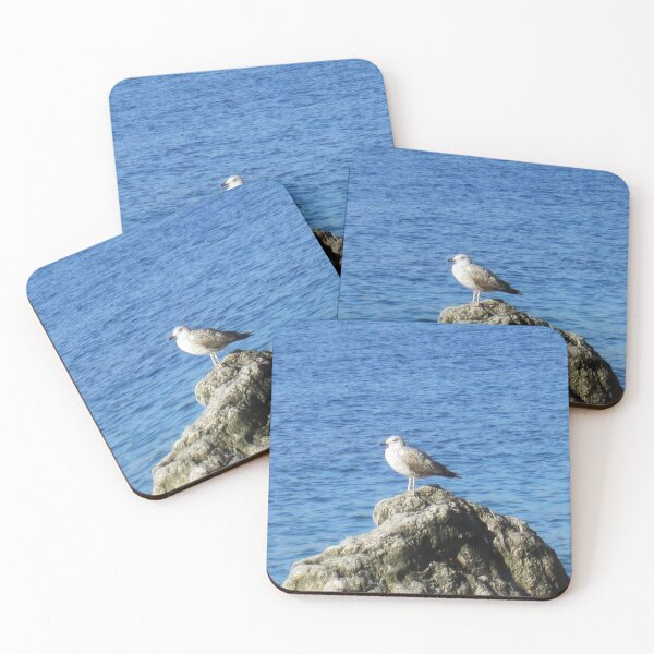 Item preview, Seagull designed and sold by Alexander Krishchyunas.