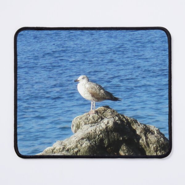 Item preview, Seagull designed and sold by Alexander Krishchyunas.