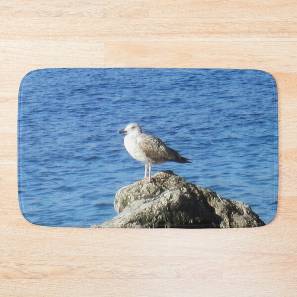 Item preview, Seagull designed and sold by Alexander Krishchyunas.