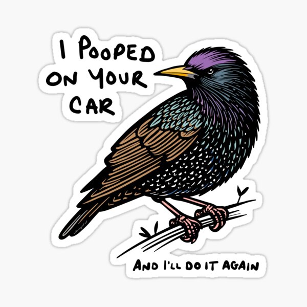 Item preview, Starling I Pooped On Your Car Funny Bird designed and sold by KilkennyCat Art.