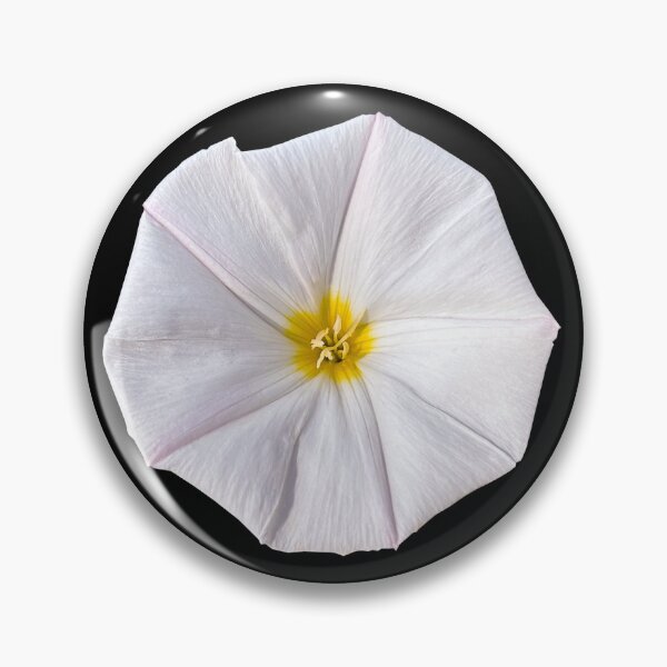 Item preview, Silvery bindweed designed and sold by PariSeine.