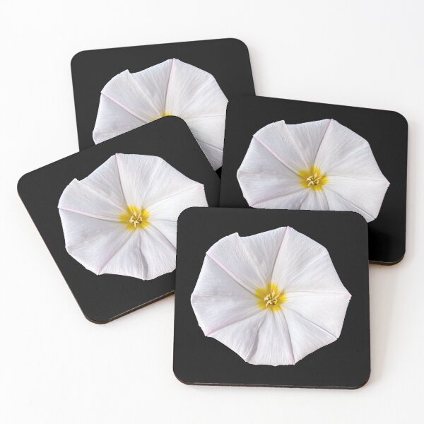 Item preview, Silvery bindweed designed and sold by PariSeine.