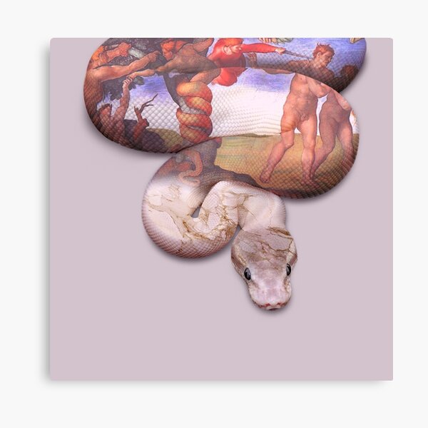 Item preview, Pity designed and sold by LucaPinotti.