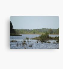 Rural Woodland Landscape Canvas Print
