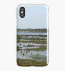 Rural Woodland Landscape iPhone Case