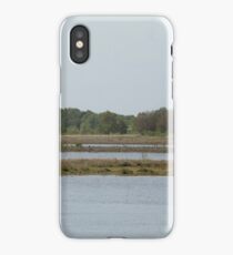 Rural Woodland Landscape iPhone Case