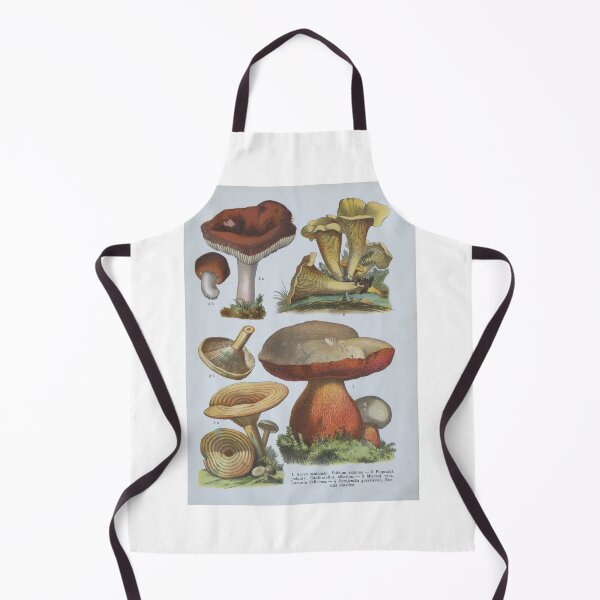 Item preview, Various Fungi designed and sold by 19th Century in Color.