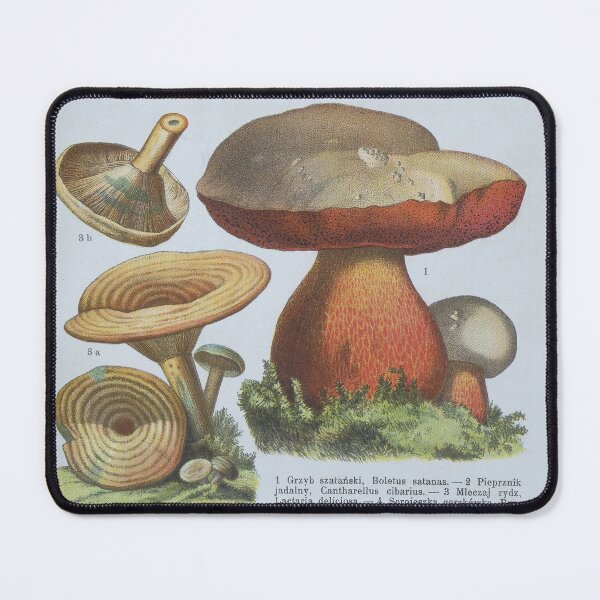 Item preview, Various Fungi designed and sold by 19th Century in Color.