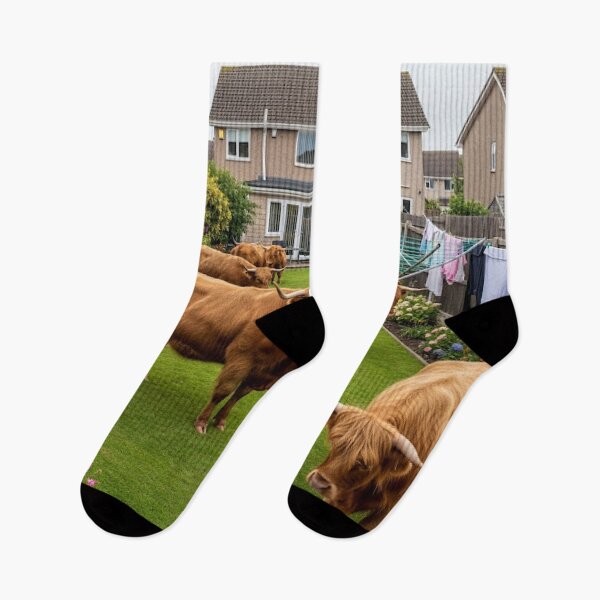 Item preview, Highland coo herd back garden  designed and sold by Md1982.