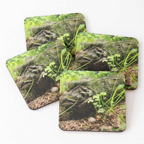 Item preview, Clovers designed and sold by Doozy103.