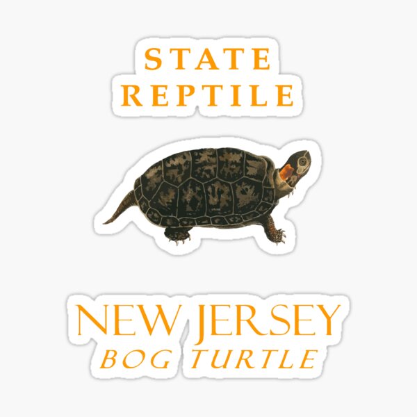 Vista previa del artículo con la obra «Reptil del territorio de Nueva Jersey La tortuga de pantano», diseñado y vendido por taiche.