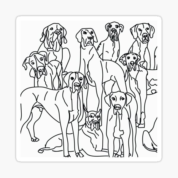 Great Danes. Multiple Dogs. Black and white. Sticker