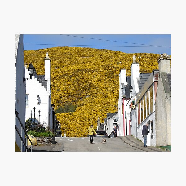 Item preview, Helmsdale in Bloom!  designed and sold by sandysshoots.
