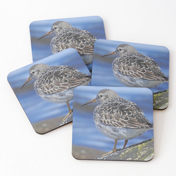 Item preview, Purple Sandpiper  designed and sold by sandysshoots.