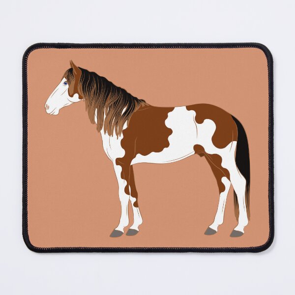 Aperçu de l'œuvre Cheval Barbe d'Abaco, cheval sauvage, cheval pie, lignée du cheval Berbère, races de chevaux des Bahamas créée et vendue par WebEquitation®.