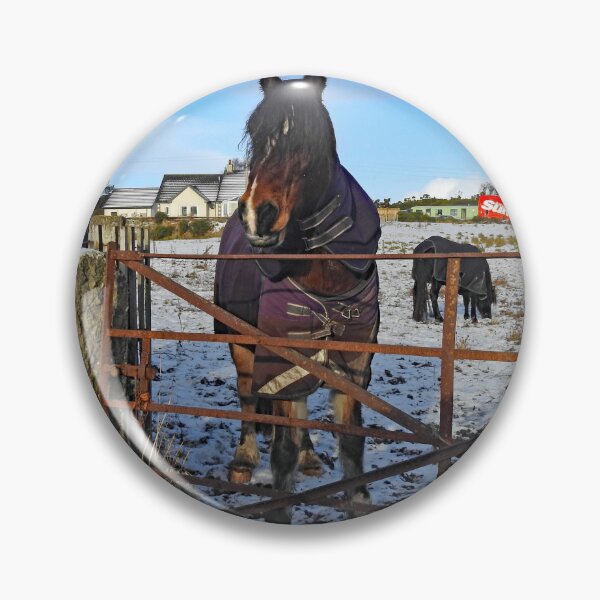 Item preview, Snow Horses in The Sun at Brora, Sutherland!  designed and sold by sandysshoots.