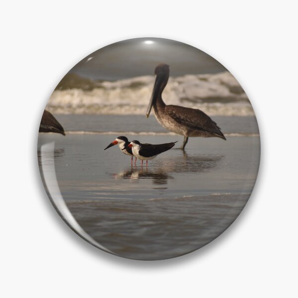 Item preview, Black Skimmers and Pelicans designed and sold by litnaturalists.