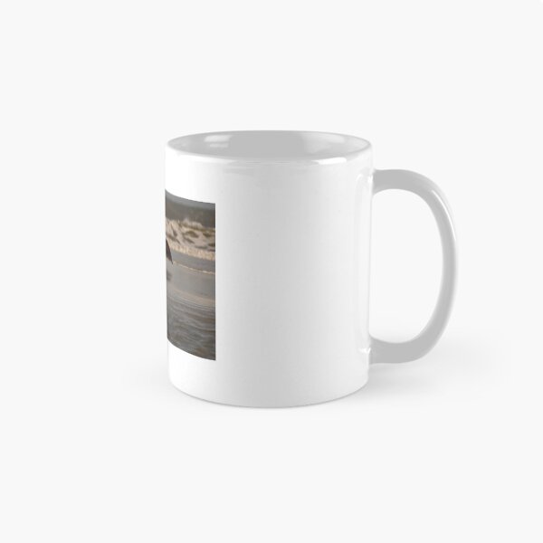 Item preview, Black Skimmers and Pelicans designed and sold by litnaturalists.