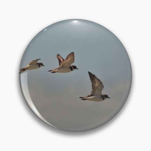 Item preview, Semi-Palmated Plovers designed and sold by litnaturalists.