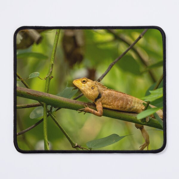 Item preview, Oriental Garden Lizard designed and sold by Julie Navitka.