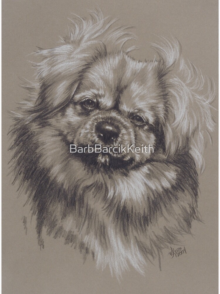 Tibetan Spaniel in Graphite Greeting Card