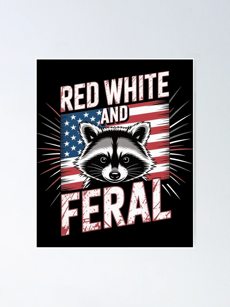Red White And Feral Racoon