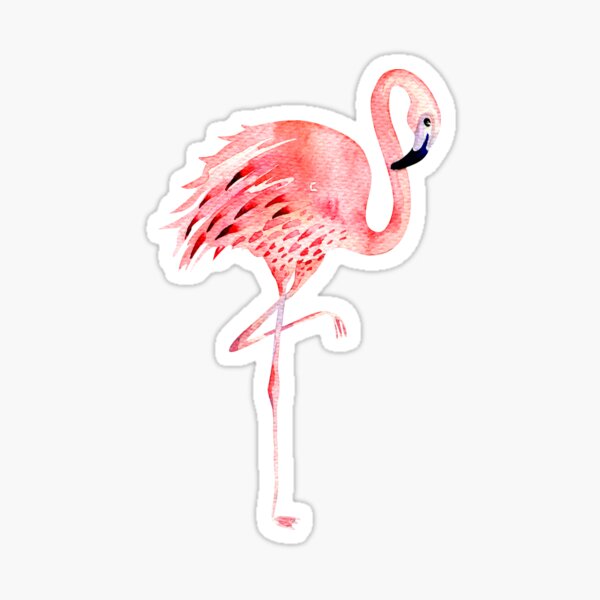 Illustration Flamingo Watercolor