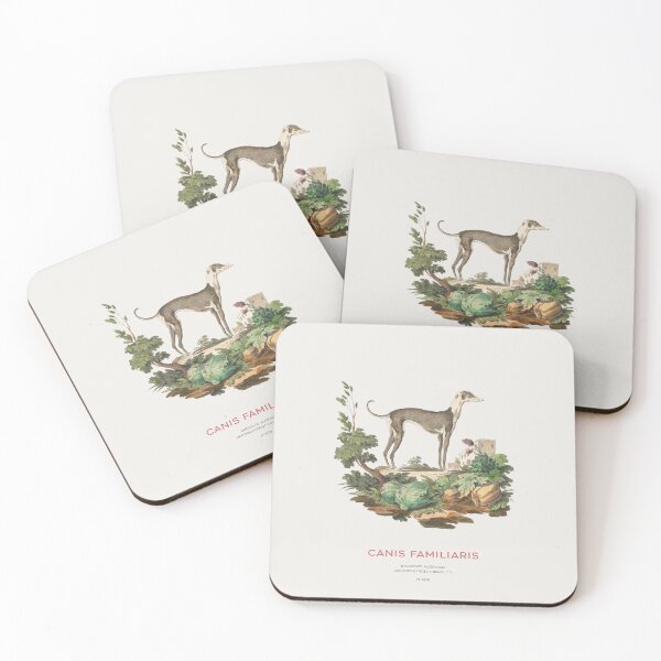 Item preview, Italian Greyhound - Antique Sighthound Engraving designed and sold by Vintagrafica.